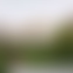 Инновационную школу при МГИМО в Хамовниках построят по проекту «Восток»+Martela