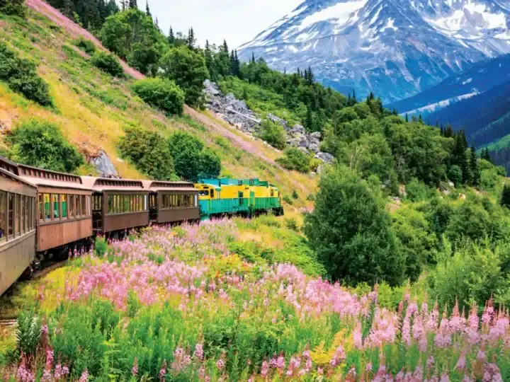 whitepass&yukon