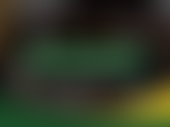 Louw & Heyl Attorneys: Insolvency and Debt – What South Africans Need to Know About Sequestration