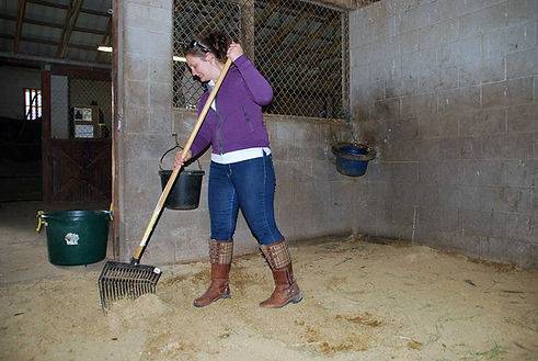 stall clean.jpg