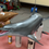Thumbnail: Bottlenose Dolphin 3D Printable Model