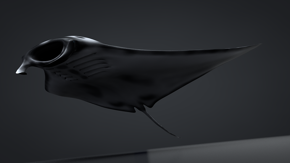 Thumbnail: Manta Ray 3D Model C4D Rigged