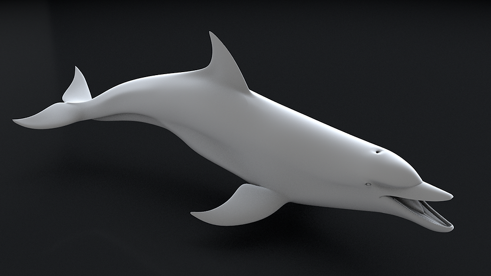 Thumbnail: Bottlenose Dolphin 3D Printable Model