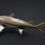 Thumbnail: Lemon Shark 3D Model C4D Rigged