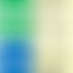 2019年3-4月度「フラッシュ暗算」検定試験　合格発表