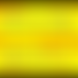 豊見城市初！トリプルホルダー誕生！