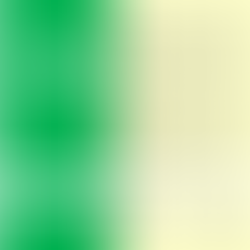 2017年6月度「暗算級位」検定試験　合格発表。