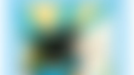 【保険に関するご案内】📩