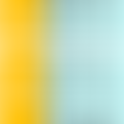 2019年9月度「珠算級位」検定試験　合格発表。