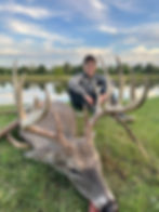 Harvest Pictures