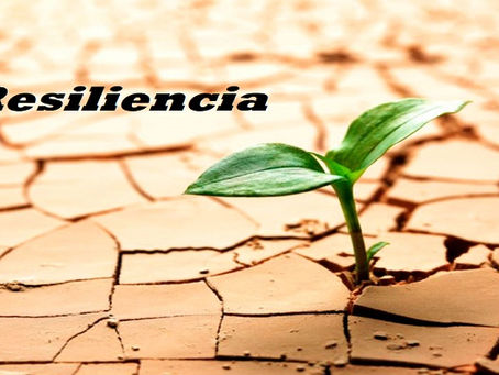 ¿Cómo convertirse en una persona resiliente?: 5 pasos clave para lograrlo