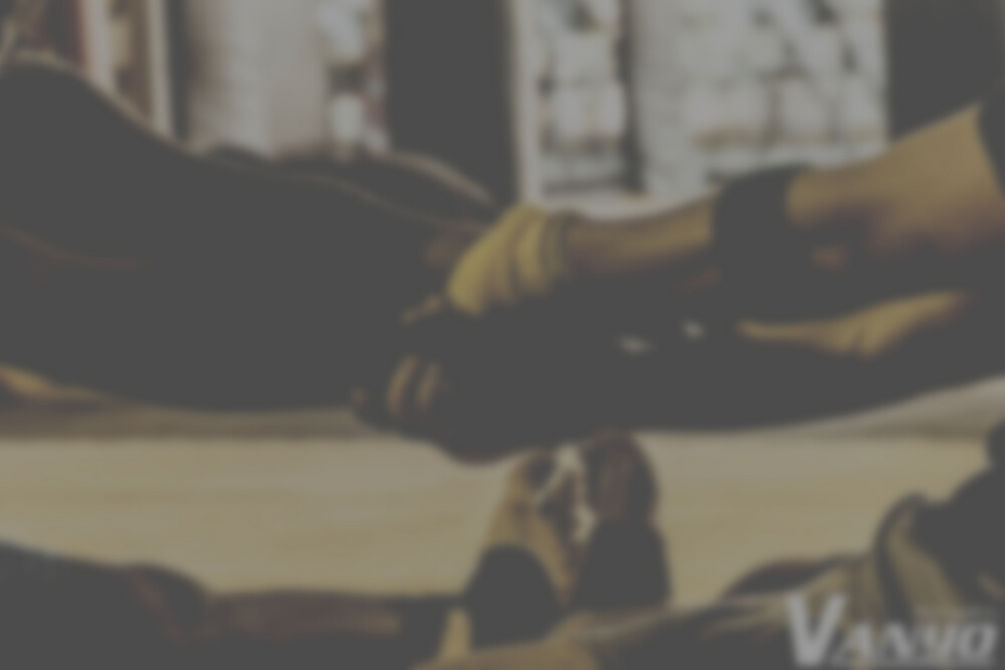 Vanyo main Page (1).png
