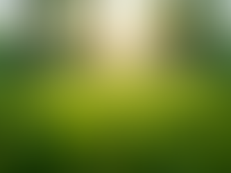 Consultation Services for Land Management and Agroforestry