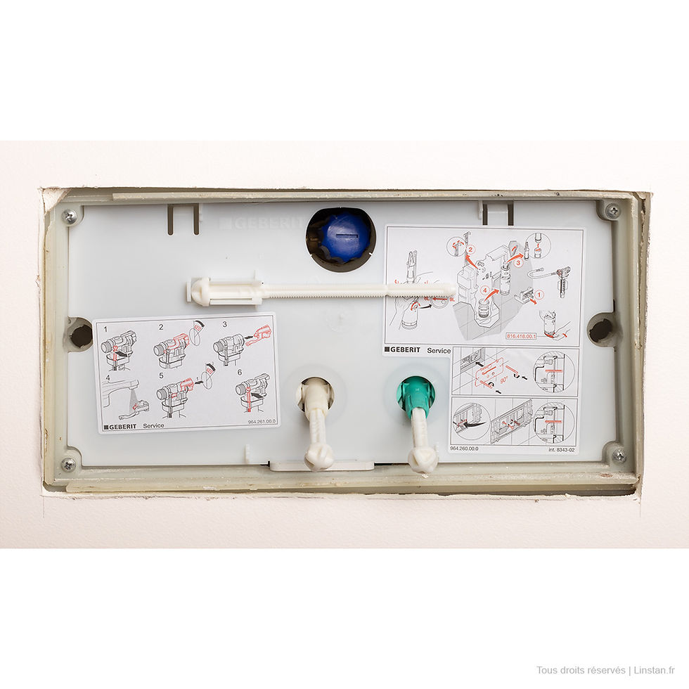 Miniature : Plaque de protection Geberit | Twinline 12, Twinline 8