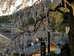 【コラム】吾唯足知