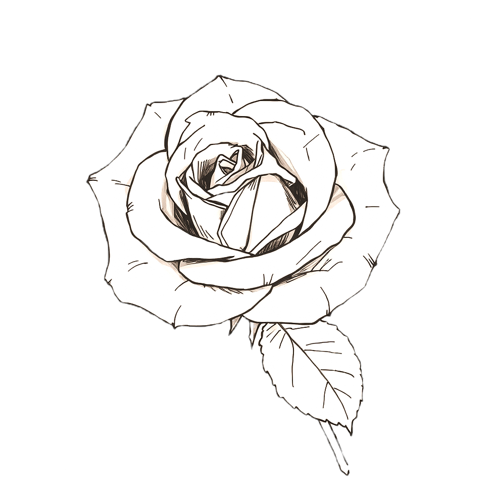 Memorial white rose