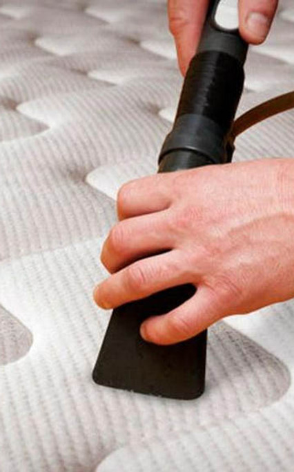 Sofá THP Limpeza e Higienização