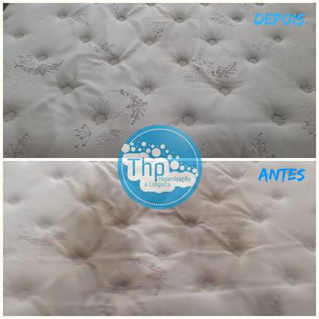 Sofá THP  Limpeza e Higienização 