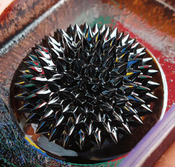 Magnetic Fluid-Spikes