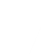 CAISWHITELOGO white.png