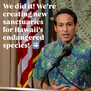 Creating New Sanctuaries For Hawaii's Endangered Species