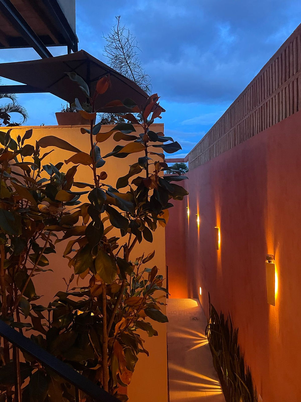 Del sueño a la realidad: La historia detrás de El Diablo y La Luna