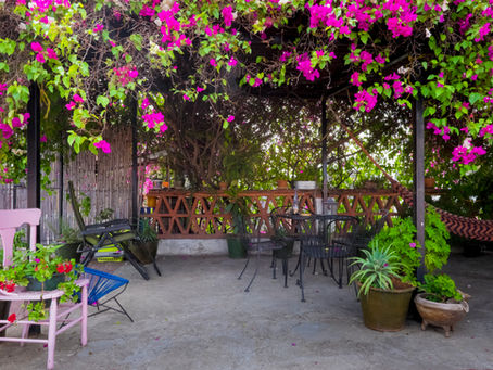 The Quiet Beauty of Spring in Oaxaca: Savoring Spring Dusk in Rooftop Bars and Sunset Views