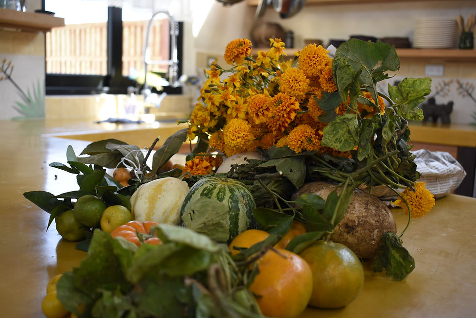 “Más allá de las caras pintadas: reconectando con el espíritu del Día de Muertos”