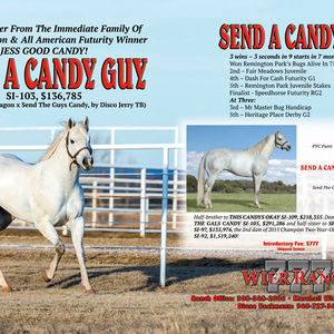 Send A Candy Guy