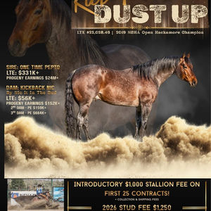 Kick The Dust Up