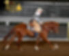 IQH24-R4NPB-2835-IQHA EDITORIAL IQHA WEB USE ONLY.jpg
