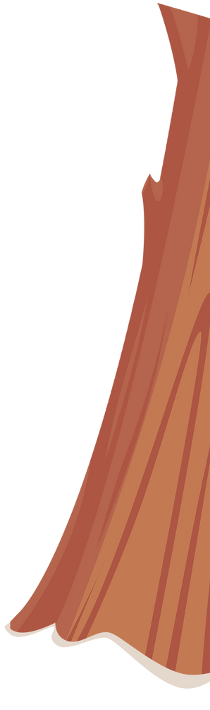 Imagem25.png