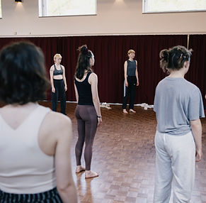 Danse Cirkel Træning