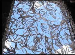 Detalhe de vídeo-performance "metamorfoses", 2020