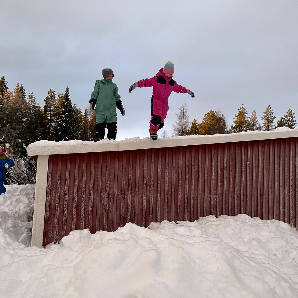 En stillsam jul i Norrland – återhämtning, nattåg och vintermys i Järvträsk