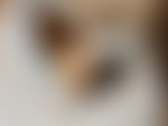 Vi har skaffat hund – välkommen Greta!