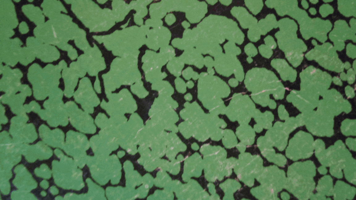 STICKERS ARE HERE (1).gif