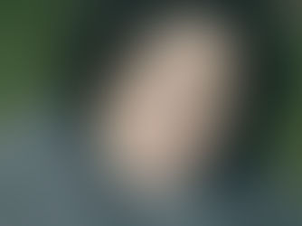 Low Sugar Diets, Menopause and Disease Prevention: Understanding the Impact of Reducing Sugar Intake on Health