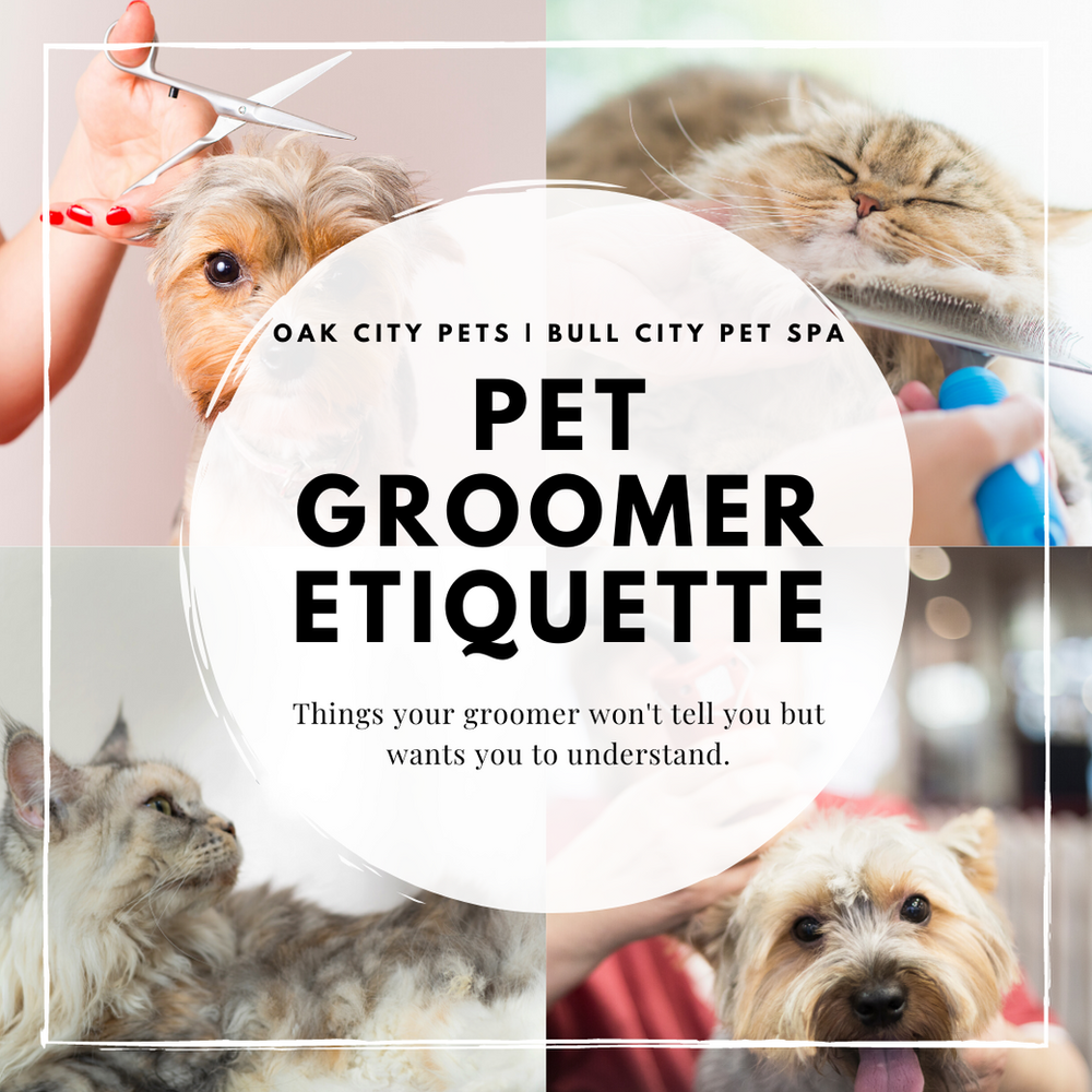How to Your Groomer's Favorite Guest