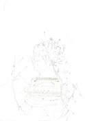 Botanical Study II