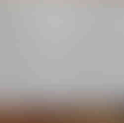 株式会社 PUTZ Network プツ・ネットワーク