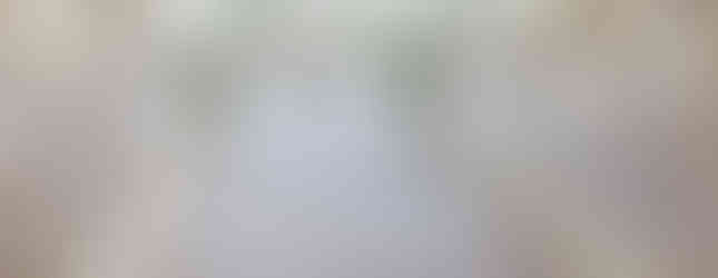 Photo Credit: Ashley King Photography