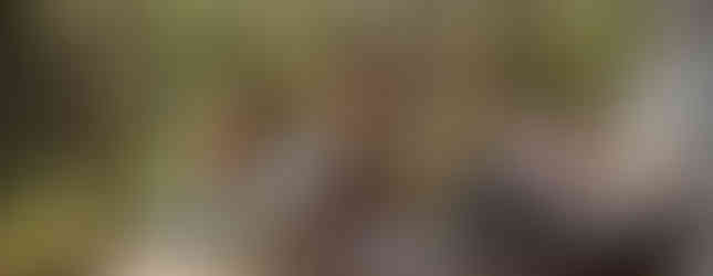 Photo Credit: Wild East Photography