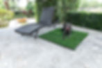 Thumbnail: Gotta Go Grass with Interlocking Tray