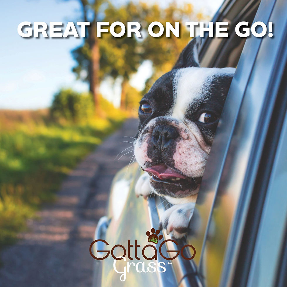 Thumbnail: Gotta Go Grass with Interlocking Tray