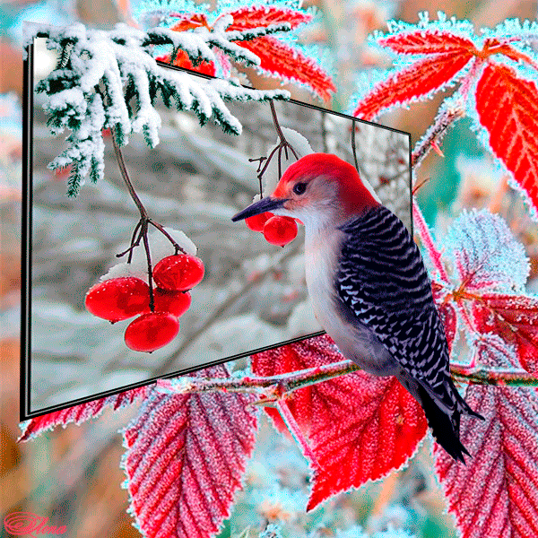 7acd990b64fs5sc0344o36c1322567dl.gif