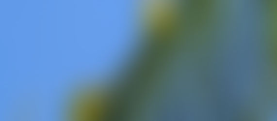 A fotografia e a descoberta da sutil arte da contemplação