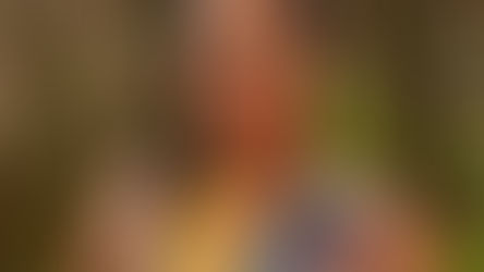 Nimu Borum Nan Brukuku Tchone