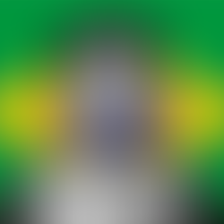 Fernando Vilaça da Silva