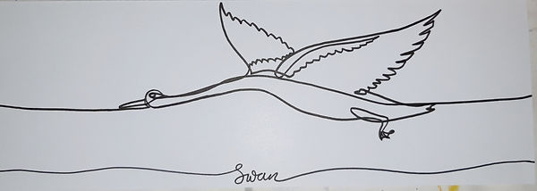 swan.jpg
